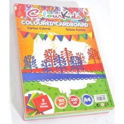 CARTON COPIATOR A4 AS INT 160G 5 CUL 200/TOP COLOUR KIDS PIGNA