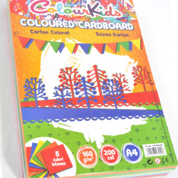 CARTON COPIATOR A4 AS INT 160G 5 CUL 200/TOP COLOUR KIDS PIGNA