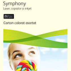 CARTON COPIATOR A4 AS MIXT+NEGRU+MARO 160G 2*12 CUL 24/TOP XEROX