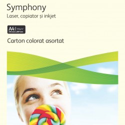 CARTON COPIATOR A4 ASORTAT PAL 160G 20*5 CUL 100/TOP XEROX