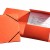 MAPA CARTON CU ELASTIC LUX PORTOCALIE ESSELTE