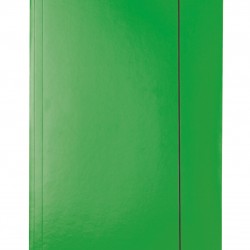 MAPA CARTON CU ELASTIC VERDE ECONOMY ESSELTE
