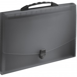 MAPA PLASTIC 12 COMPARTIMENTE CU MANER NEAGRA VIVIDA ESSELTE
