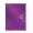 MAPA PLASTIC 12 COMPARTIMENTE MOV METALIZAT WOW LEITZ