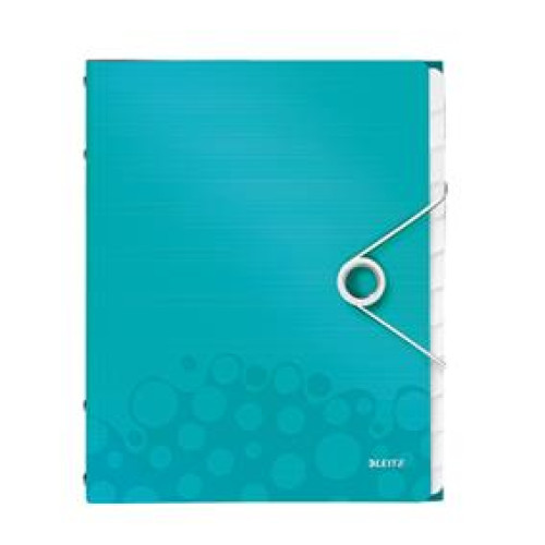 MAPA PLASTIC 12 COMPARTIMENTE TURCOAZ METALIZAT WOW LEITZ