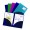 MAPA PLASTIC A4 CULORI ELECTRA ASORTATE POLYFILE TWIN SNOPAKE