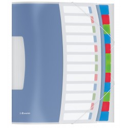 MAPA PLASTIC CU ELASTIC 12 COMPARTIMENTE VIVIDA ESSELTE