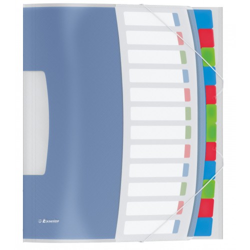MAPA PLASTIC CU ELASTIC 12 COMPARTIMENTE VIVIDA ESSELTE