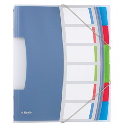 MAPA PLASTIC CU ELASTIC 6 COMPARTIMENTE VIVIDA ESSELTE