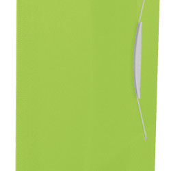 MAPA PLASTIC CU ELASTIC VERDE VIVIDA ESSELTE