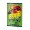 VOCABULAR 24F ANGRY BIRDS PIGNA