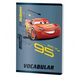 VOCABULAR 24F CARS 3 PIGNA