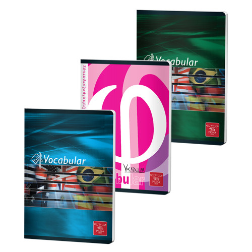 VOCABULAR 24F COLOR PIGNA