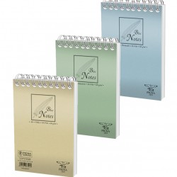 BLOC NOTES SPIRA A4 50F AR BASIC PIGNA