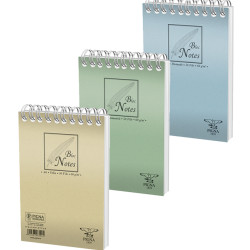 BLOC NOTES SPIRA A5 50F AR BASIC PIGNA