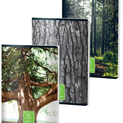 CAIET A4 60F AR 70G GREEN PIGNA