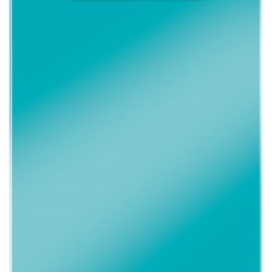 CLIPBOARD SIMPLU TURCOAZ WOW LEITZ