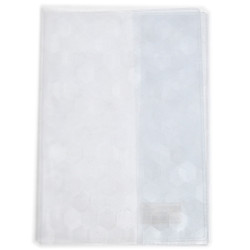 COPERTA VOCABULAR TRANSPARENTA