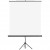 ECRAN PROIECTIE 180*180 CM MANUAL PE TREPIED MEMO BE
