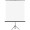 ECRAN PROIECTIE 200*200 CM MANUAL PE TREPIED MEMO BE