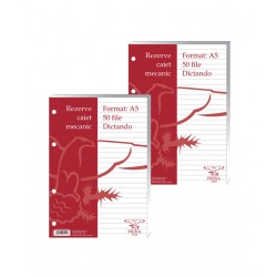 REZERVA CAIET MECANIC A5 50F DR PIGNA