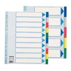 SEPARATOARE INDEX PLASTIC 10 CULORI MAXI ESSELTE
