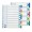 SEPARATOARE INDEX PLASTIC 10 CULORI MAXI ESSELTE