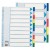 SEPARATOARE INDEX PLASTIC 10 CULORI MAXI ESSELTE