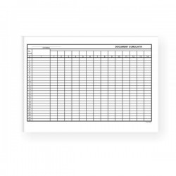 DOCUMENT CUMULATIV A4 ORIZONTAL