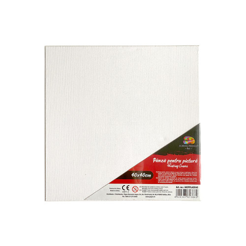 PANZA PENTRU PICTURA PE SASIU 40*40CM SF ART PIGNA