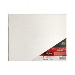PANZA PENTRU PICTURA PE SASIU 40*50CM SF ART PIGNA