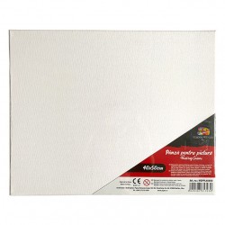 PANZA PENTRU PICTURA PE SASIU 40*50CM SF ART PIGNA