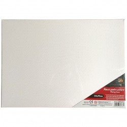 PANZA PENTRU PICTURA PE SASIU 50*70CM SF ART PIGNA