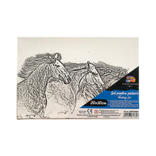 PANZA PREDESENATA PE SASIU 20*30CM CAI SF ART PIGNA