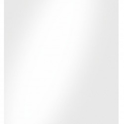 FOLIE 65x95MM 125 MICRONI 100/TOP LEITZ