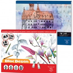 BLOC DESEN A3 160G 16 COLI PIGNA