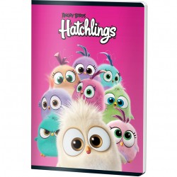 CAIET A4 60F AR LICENTE ANGRY BIRDS PIGNA
