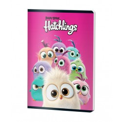 CAIET A4 60F DR LICENTE ANGRY BIRDS PIGNA