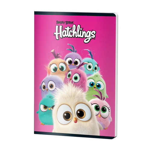 CAIET A4 60F DR LICENTE ANGRY BIRDS PIGNA