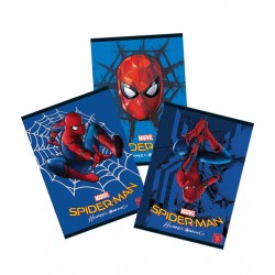 CAIET A4 60F DR SPIDERMAN HC PIGNA