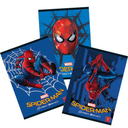 CAIET A4 60F DR SPIDERMAN HC PIGNA