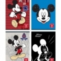 CAIET A4 80F DR LICENTE MICKEY PIGNA