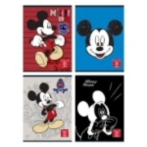 CAIET A4 80F DR LICENTE MICKEY PIGNA