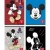 CAIET A4 80F DR LICENTE MICKEY PIGNA
