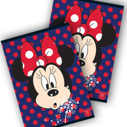 CAIET A4 80F DR LICENTE MINNIE PIGNA