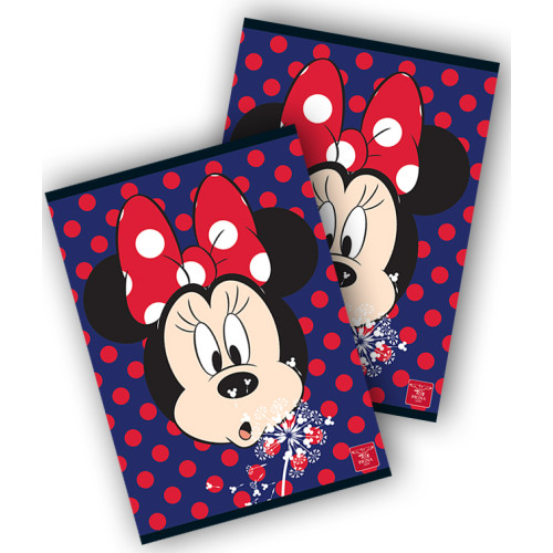 CAIET A4 80F DR LICENTE MINNIE PIGNA