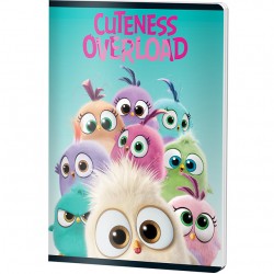 CAIET A5 48F AR ANGRY BIRDS PIGNA