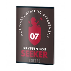 CAIET A5 48F AR HARRY POTTER PIGNA