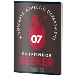 CAIET A5 48F AR HARRY POTTER PIGNA