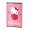 CAIET A5 48F AR HELLO KITTY PIGNA